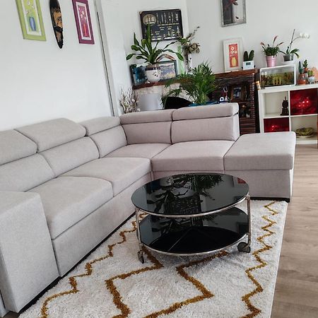 Chambre Chez Habitant 1 Carbon-Blanc Екстер'єр фото